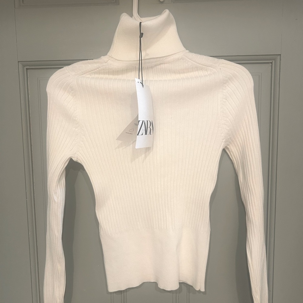 Zara Turtle Neck
